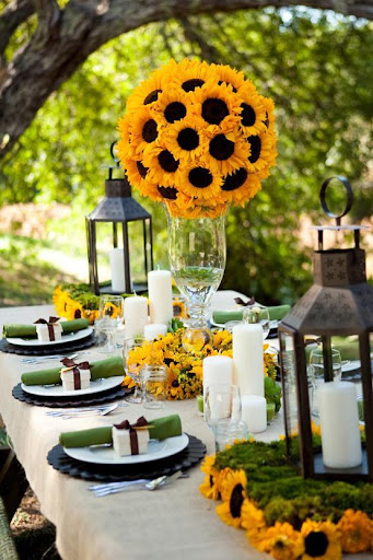 Wedding Decoration Ideas