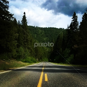 A Road In The Middle Of Nowhere  by Julia Arredondo - Landscapes Forests