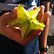 Star Fruit 