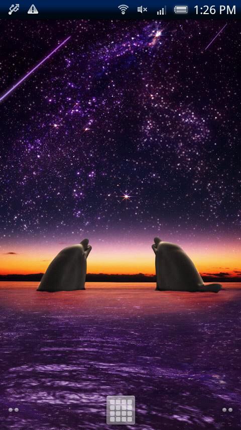 Dolphin Star Screen 1