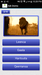 How to mod Learn Afaan Oromo Easy Way patch 2.4 apk for bluestacks