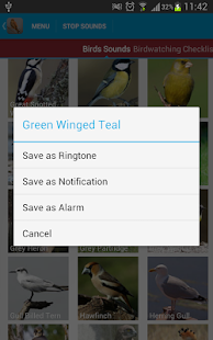 Spanish Birds Sounds Screenshots 22