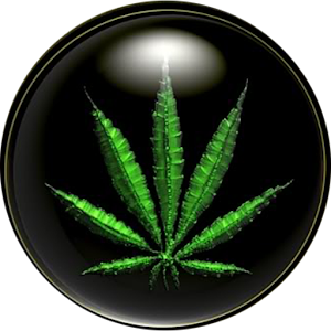 weed icon apk downloads