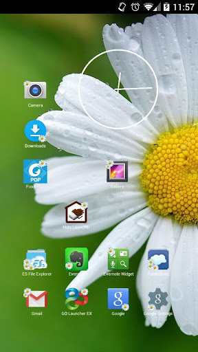 Daisy Flowers Icon Theme