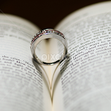 The Ring by Steve Forbes -  