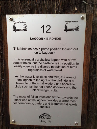 Lagoon 4 Birdhide #12