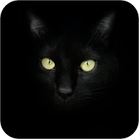 黒猫の壁紙 Androidアプリ Applion