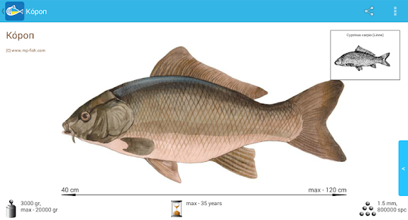 Риби України Screenshots 6