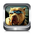 Dog Ringtones and Wallpapers Apk