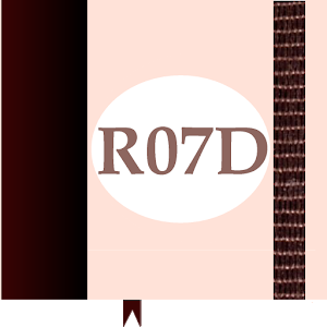 R07D - Bible & Prayer Journal.apk Zacarias