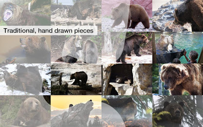 Grizzly Bear Jigsaws Demo poster 11