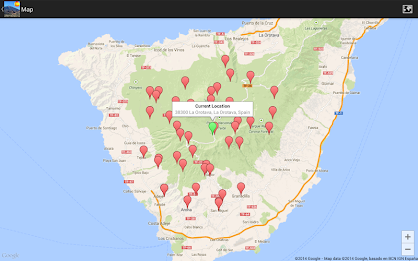 In Sight - The Canaries poster 19