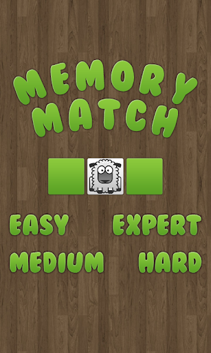 Memory Match Animals