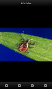 smart Microscope Lite Screenshots 16