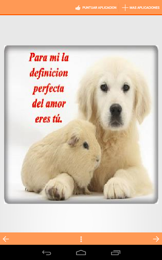 Animales con Frases de Amor