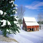 Beautiful Winter Backgrounds Apk