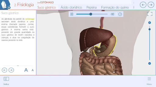 免費下載教育APP|Sistemas do Corpo Humano Free app開箱文|APP開箱王