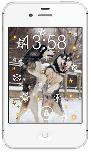 【免費個人化App】Cool Husky Puppy HD LWP-APP點子