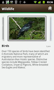 EI: Komodo Island Screenshots 2