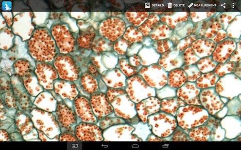 MotiConnect T Screenshots 2