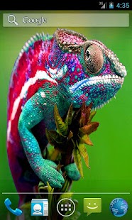 Pet Chameleon Effect LWP Screenshots 1