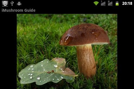 iMushroom Guide Free Screenshots 3