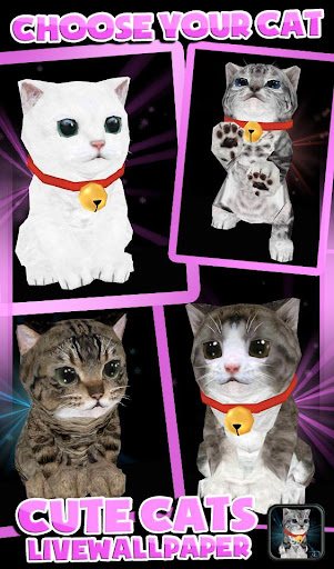 【免費個人化App】Fluffy Cat Pet 3D HD lwp-APP點子