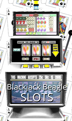 3D Blackjack Beagle Slots