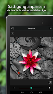 PhotoDirector - Photo Editor Screenshot