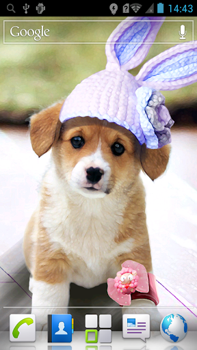 Cute Puppy Live Wallpaper