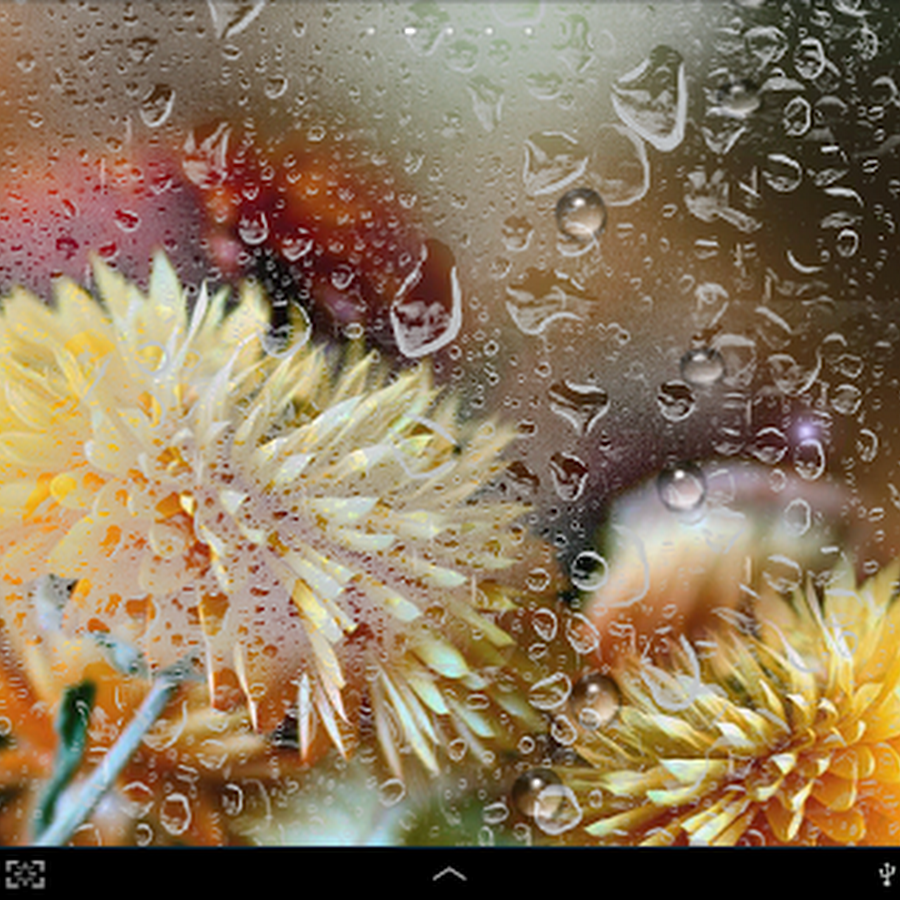 Autumn Flowers Live Wallpaper Android Apps on Google Play