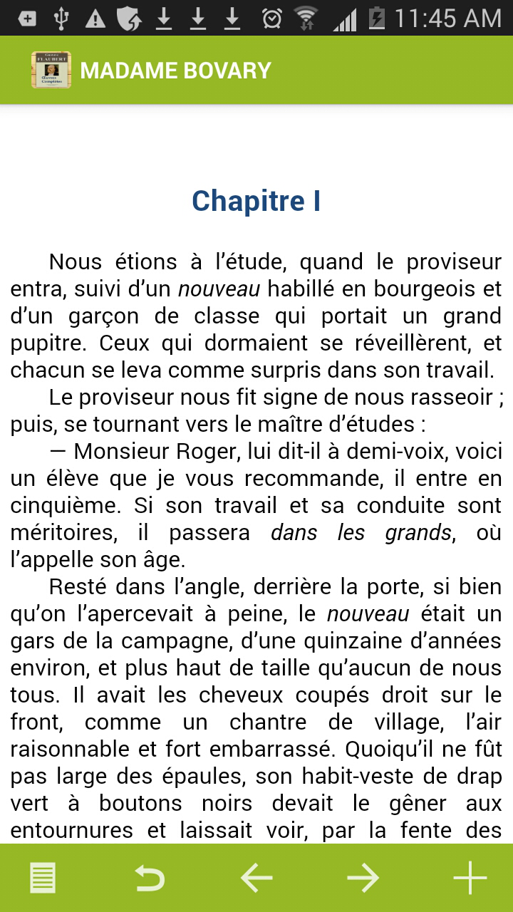 Flaubert : Oeuvres complètes Screen 3
