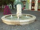 Fountain of Winery