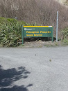 Putangirua Pinnacles Scenic Reserve