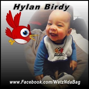 Download Hylan Birdy APK for Android