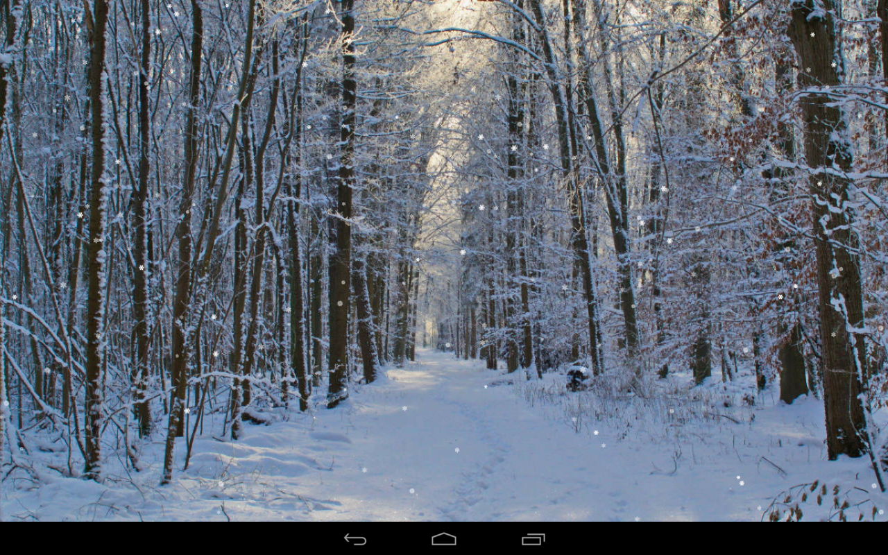Живые обои Зима на Андроид