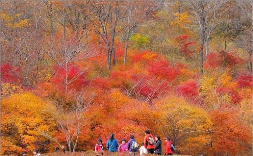 Free Download 월간등산 APK for Android