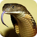 Snake – PuzzleBox logo