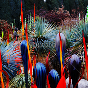 Glass among the Yucca by Donald Henninger - City,  Street & Park City Parks