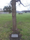 Leningrad Partnership Tree
