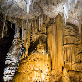 Grotte de Clamouse by Jennette Marty - Landscapes Caves & Formations