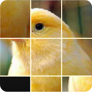 Pictures Puzzle Best Game Hacks and cheats