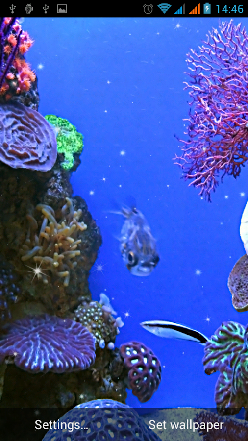 Aquarium Live Wallpaper - screenshot