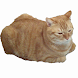 Cat Runner CHIP