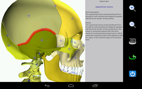 Visual Anatomy - screenshot thumbnail