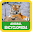 Animal Encyclopedia Download on Windows