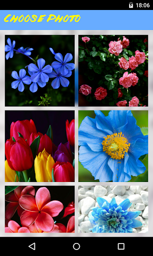 Flowers Jigsaw Puzzle