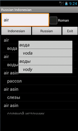 Russian Indonesian Dictionary