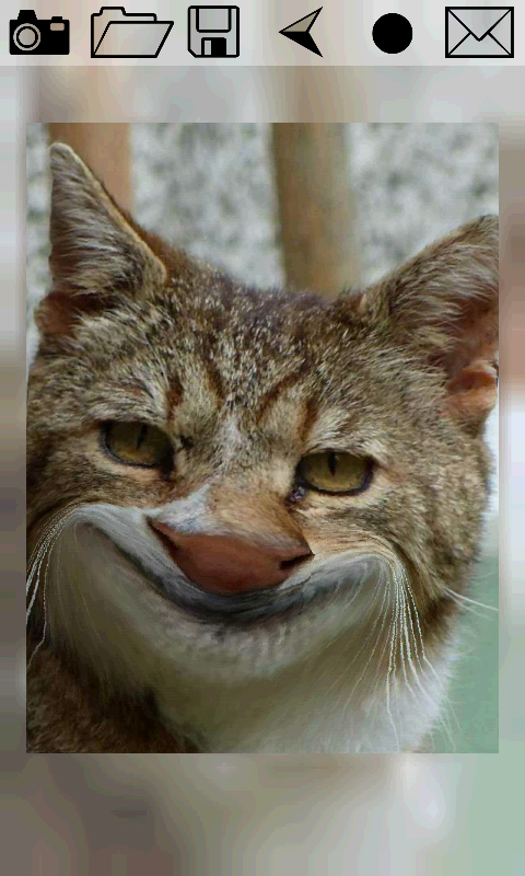 Image Warp Pro Screen 3