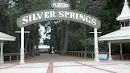 Silver Springs State Entrance